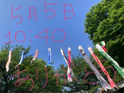 写メ