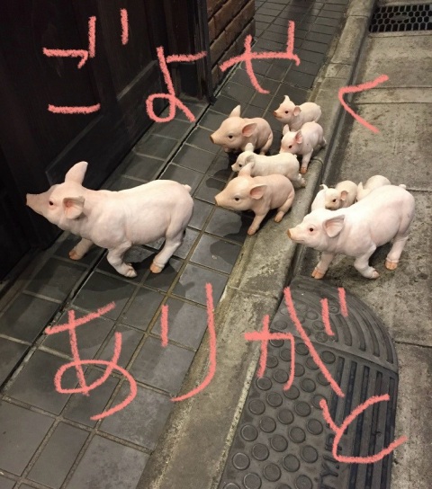 写メ