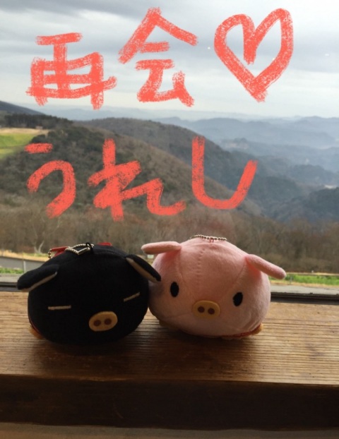 写メ