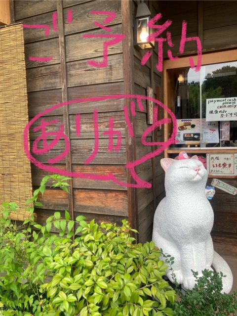 写メ