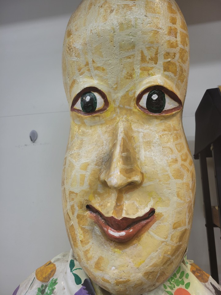 アップロード画像