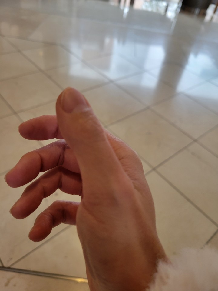 アップロード画像