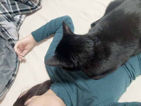 写メ