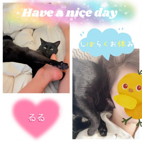 写メ
