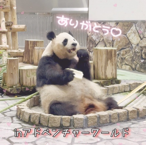 写メ