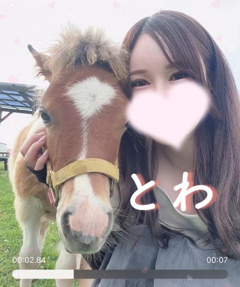 写メ