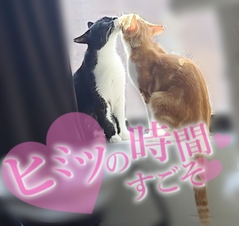 写メ