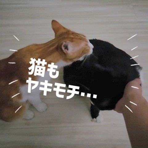 写メ