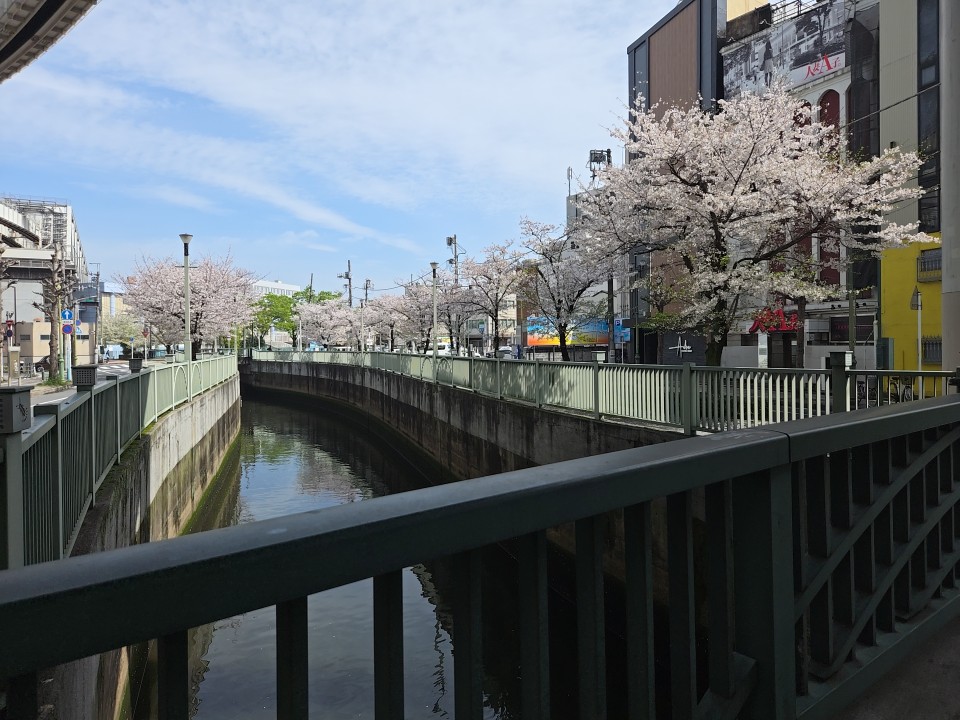 アップロード画像