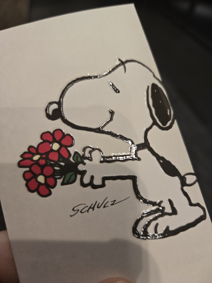 アップロード画像