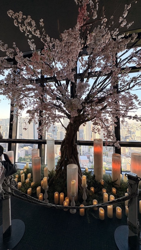 写メ