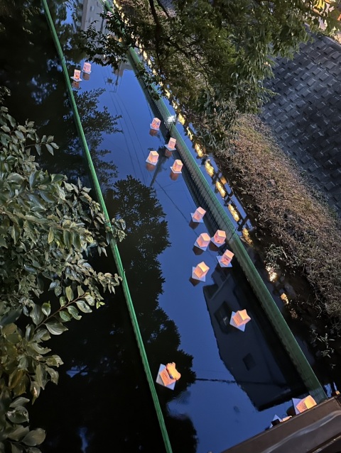 写メ