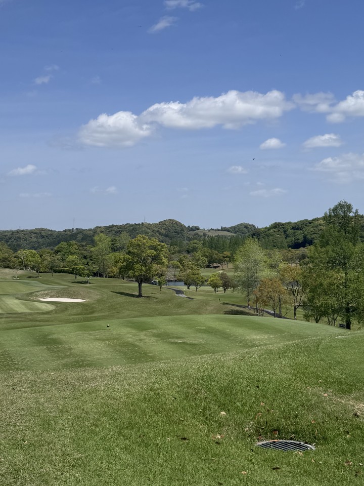 アップロード画像