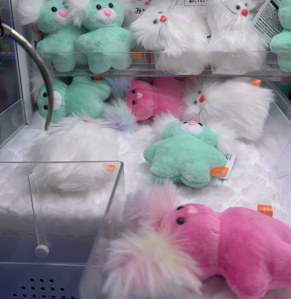 アップロード画像