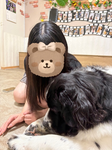 写メ