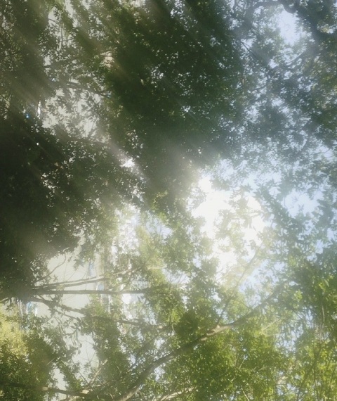 写メ