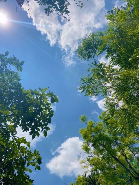 写メ