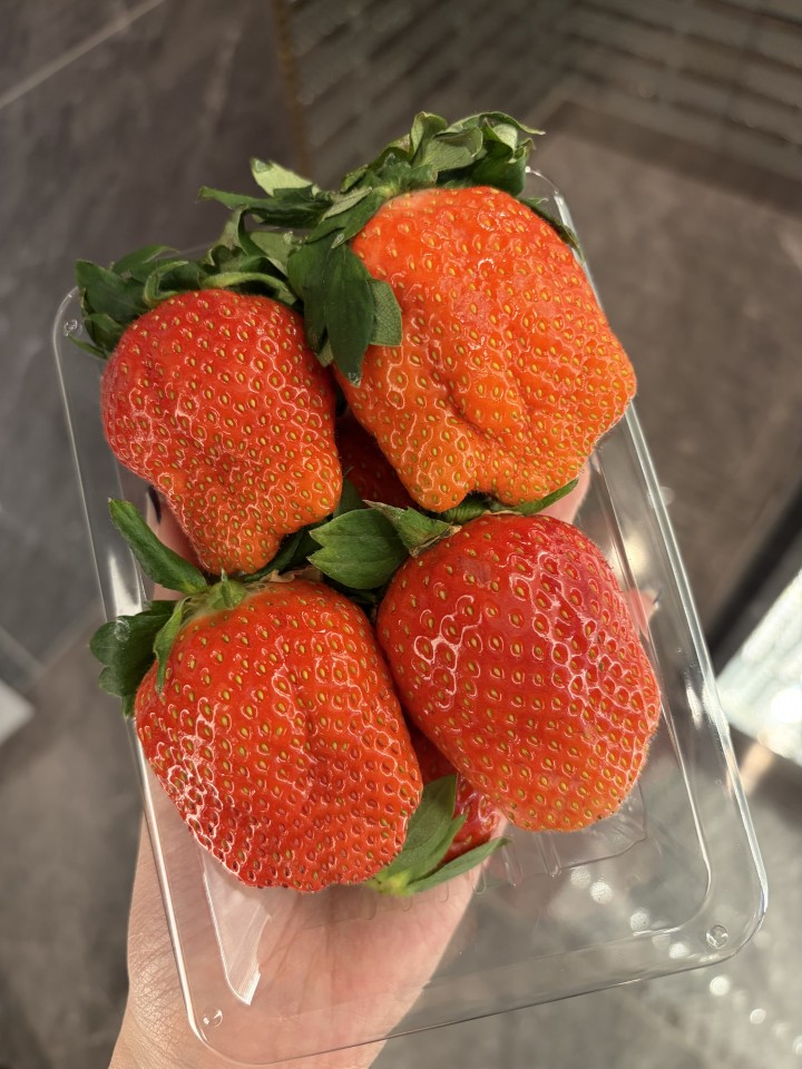 アップロード画像