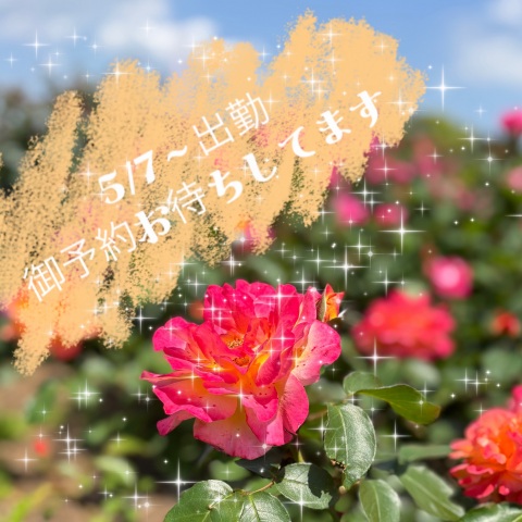 写メ