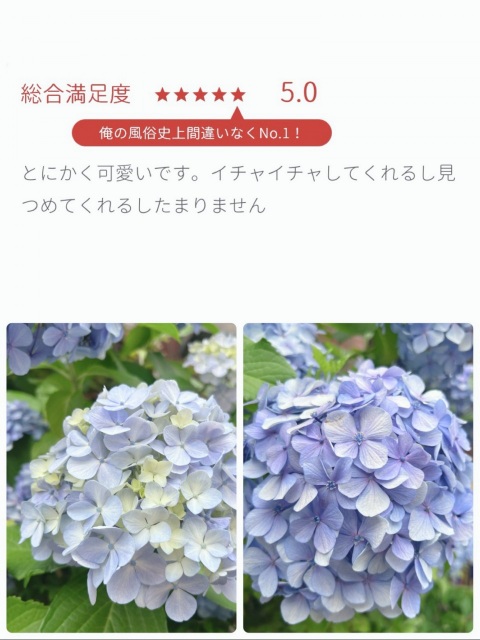 写メ