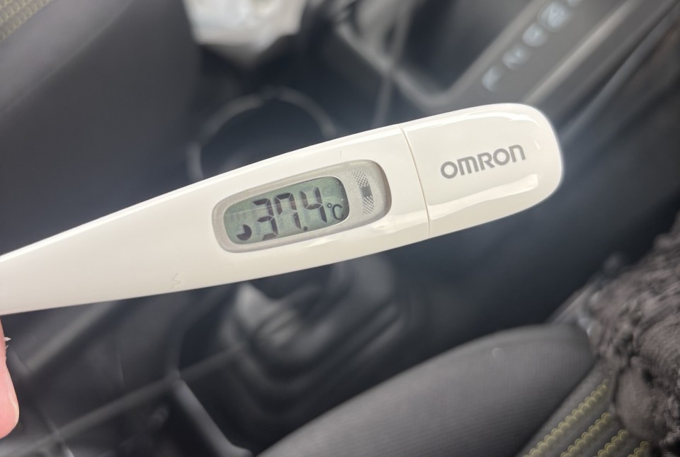 アップロード画像