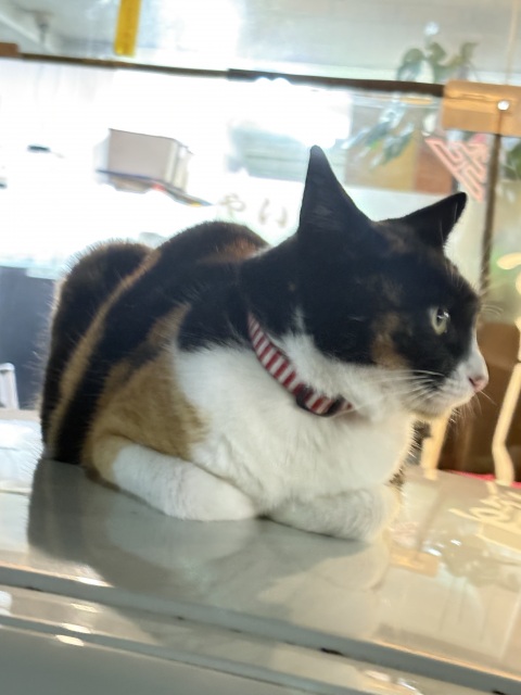 写メ