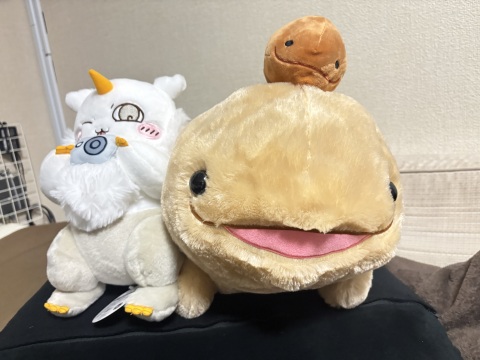 写メ