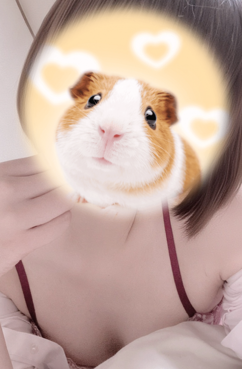写メ