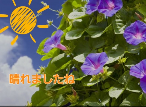 写メ