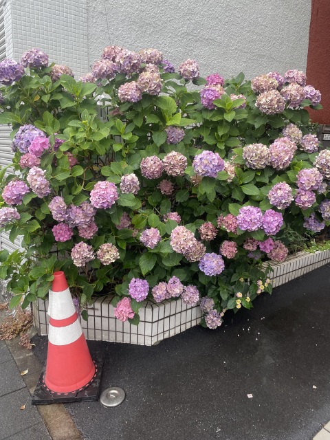 写メ