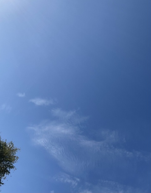 写メ