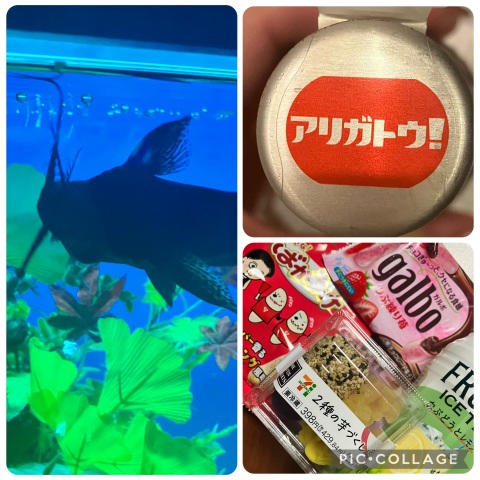 写メ