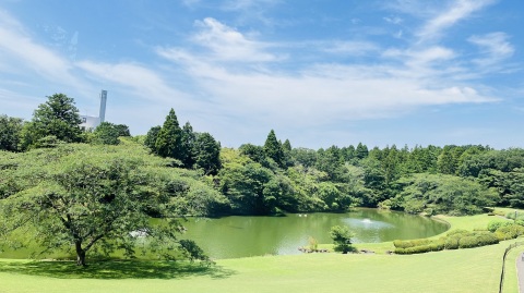 写メ