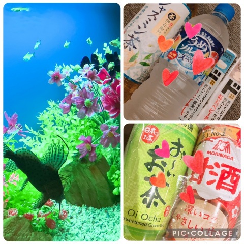 写メ