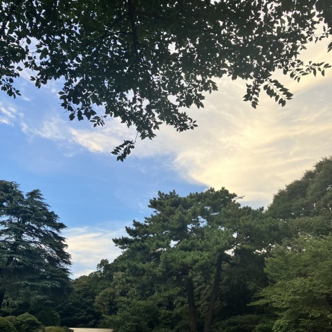 写メ