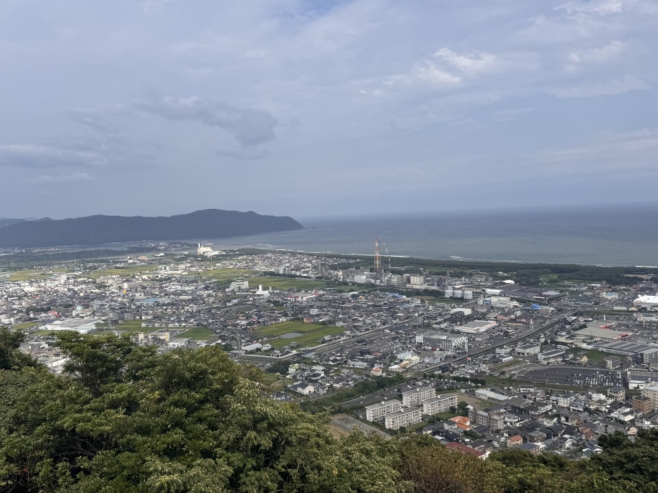 アップロード画像