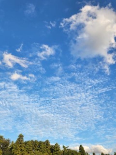 写メ