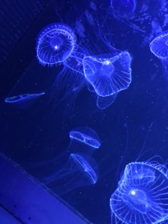 写メ