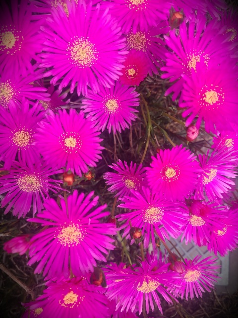 写メ