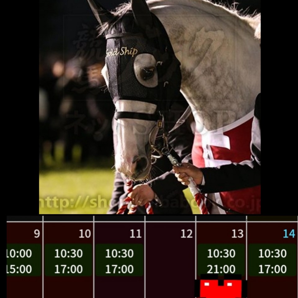 アップロード画像